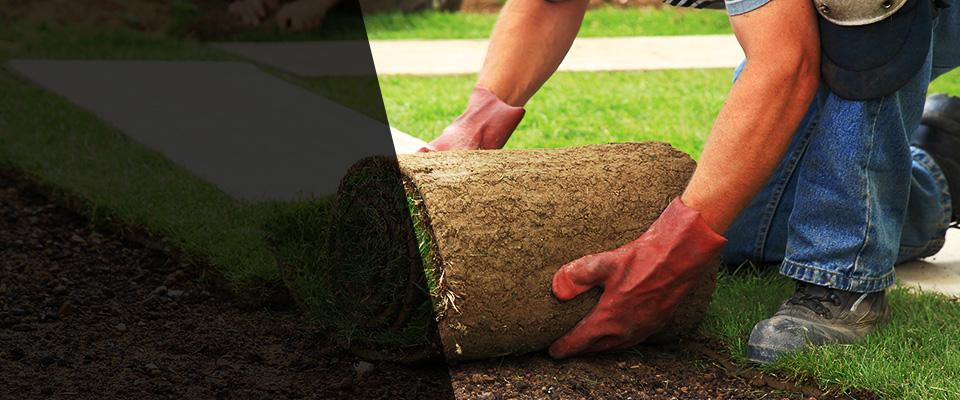 Harpswell Landscapers